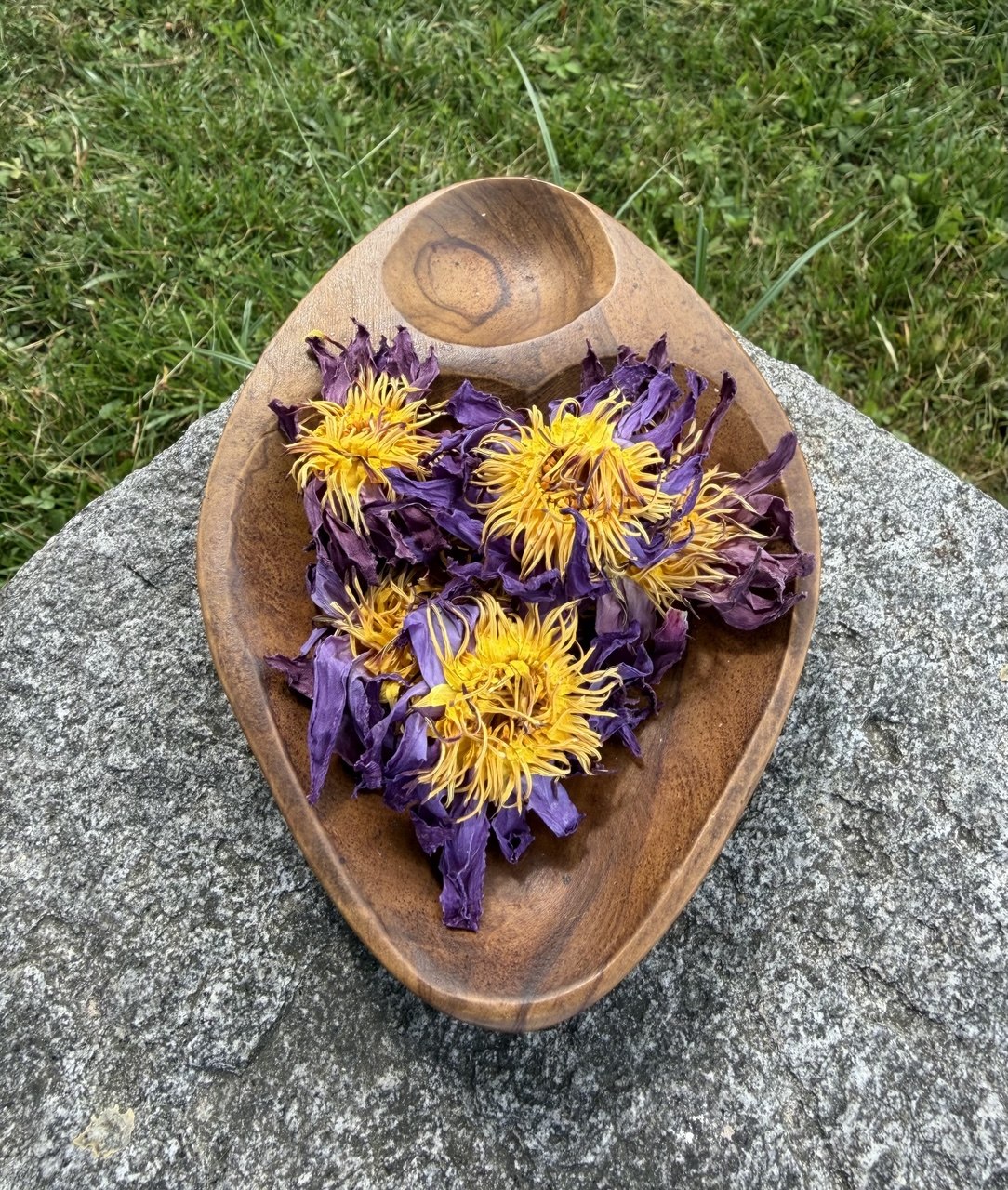 Dried ceremonial Blue Lotus blossoms in a wooden bowl